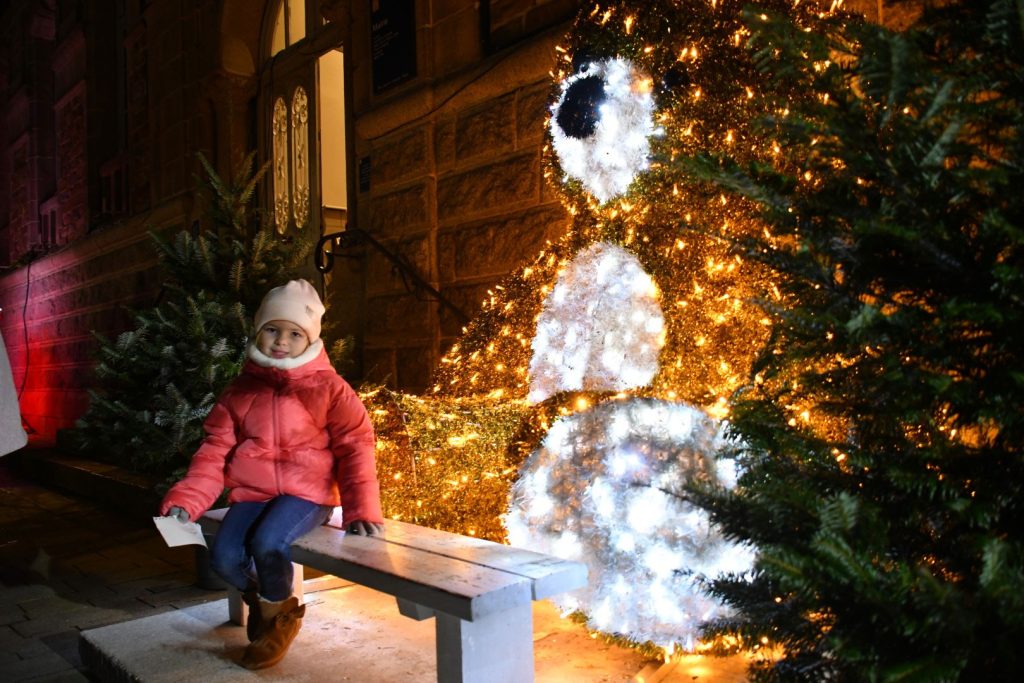 actualite illuminations Noël